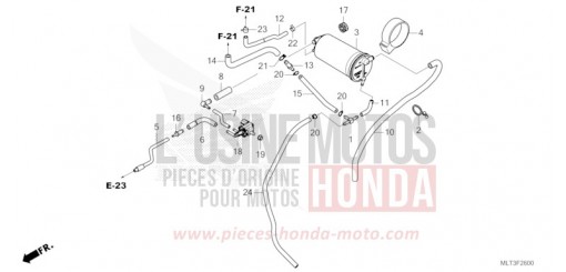 CUVETTE CB1000GTT de 2026